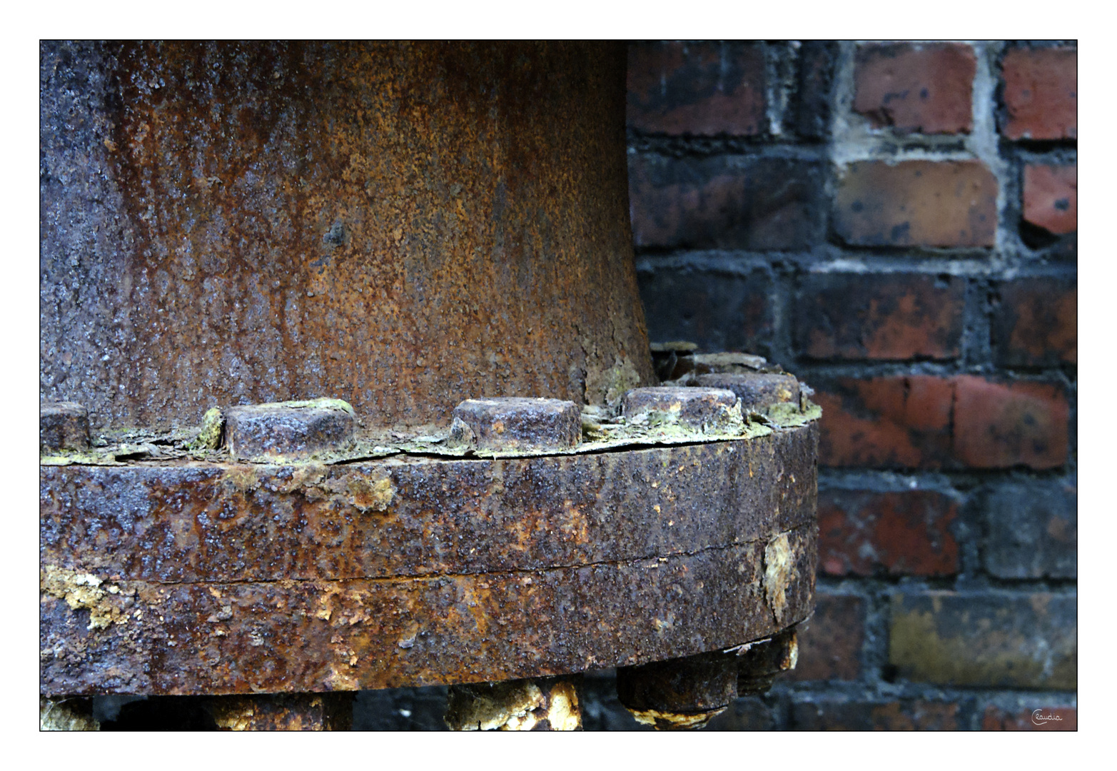 Rost-Blumen-Schrauben