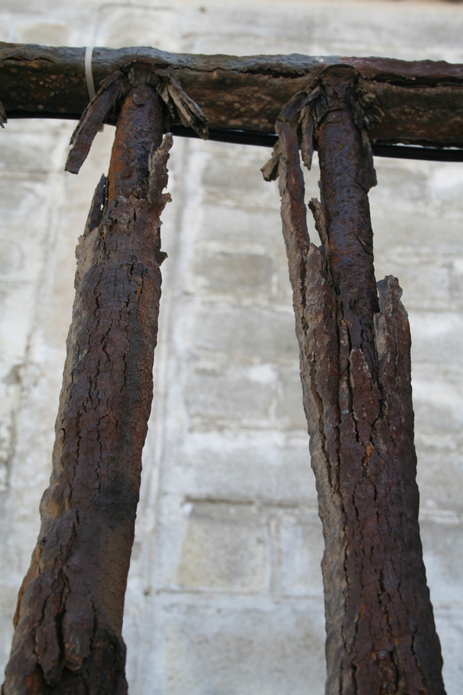 Rost