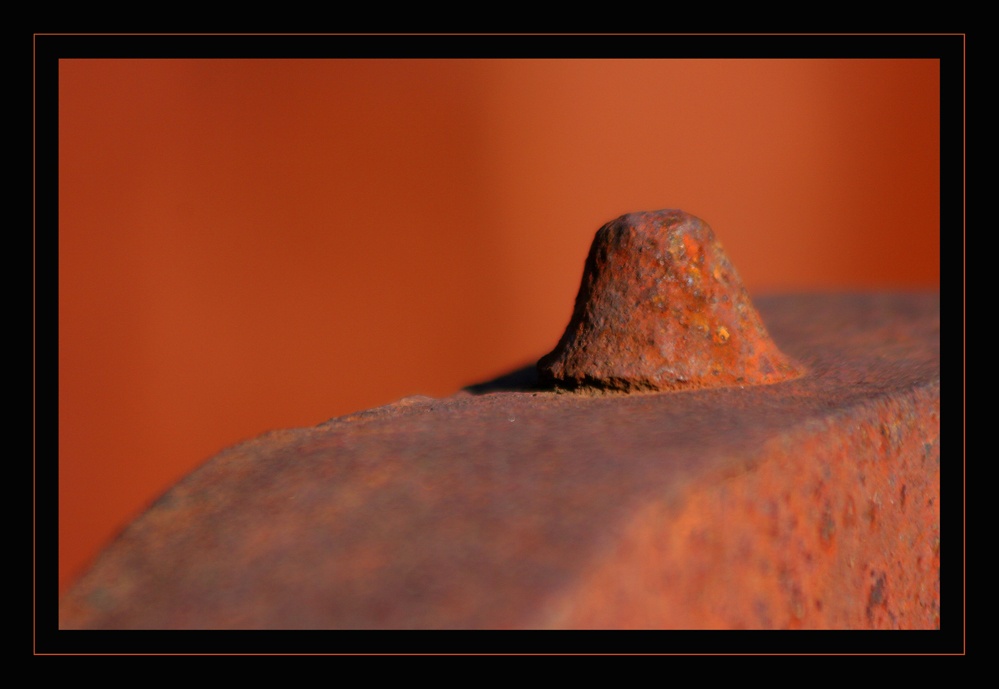 Rost-Detail