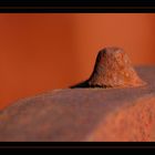 Rost-Detail