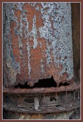 Rost II