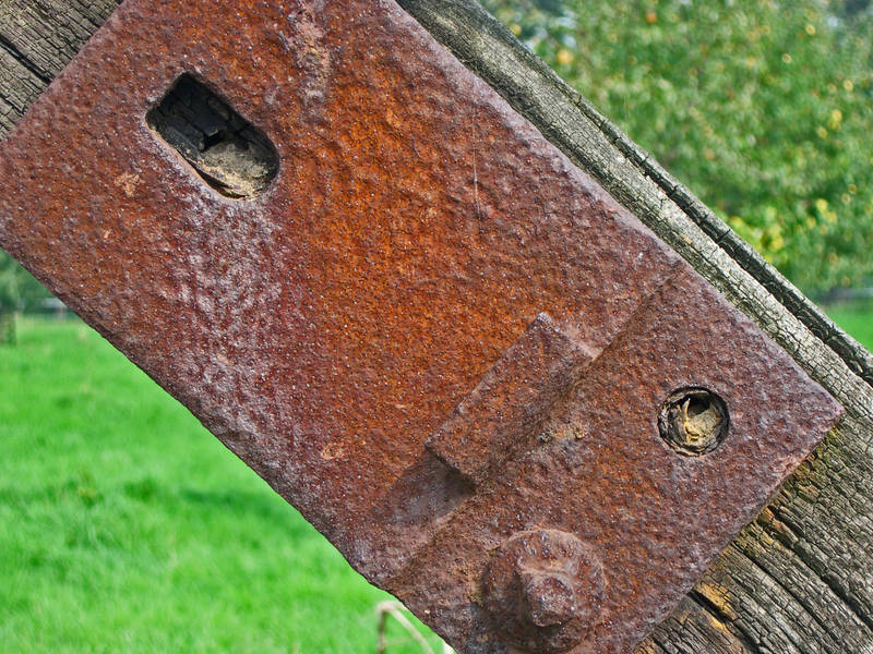 Rost III