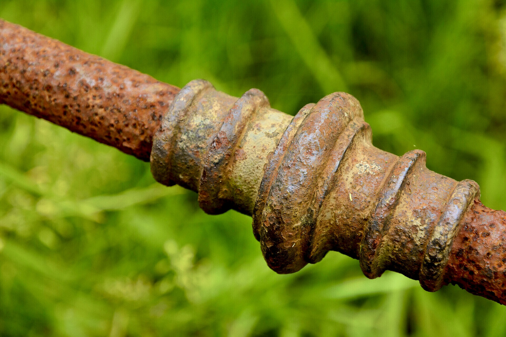 Rost im Grünen