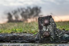 rost in der landschaft