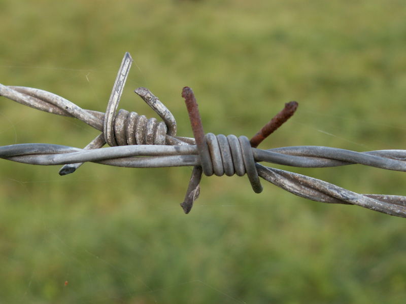 Rost läßt sich auch durch Stacheldraht nicht aufhalten...