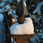 Rost mit Schneehaube