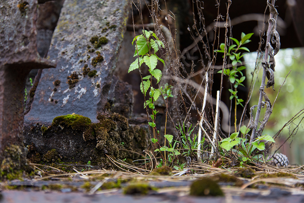 Rost und Grün (II)