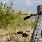 Rost: Zeichen der Zeit oder Zeichen der salzigen Luft ?