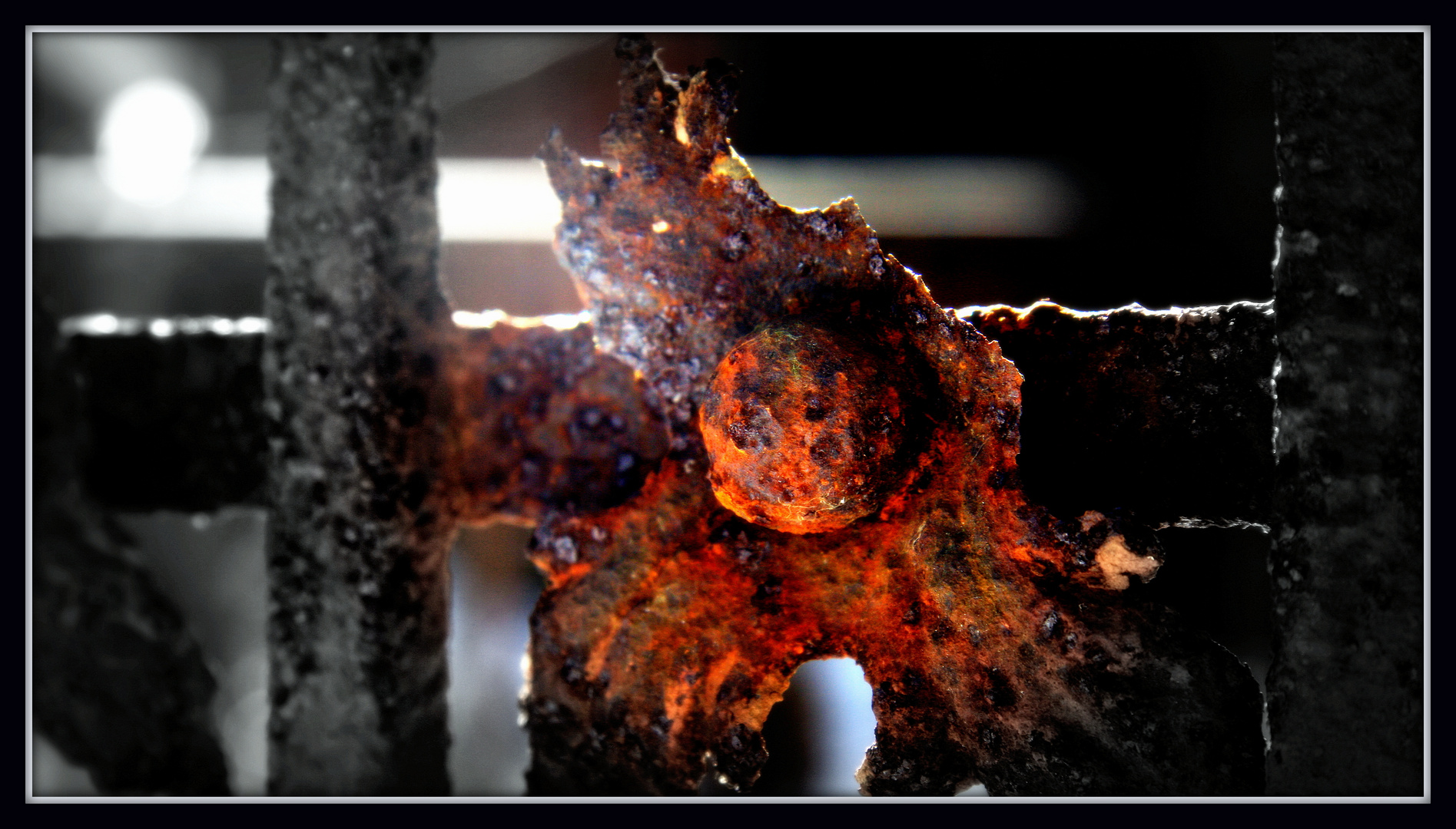 Rost1