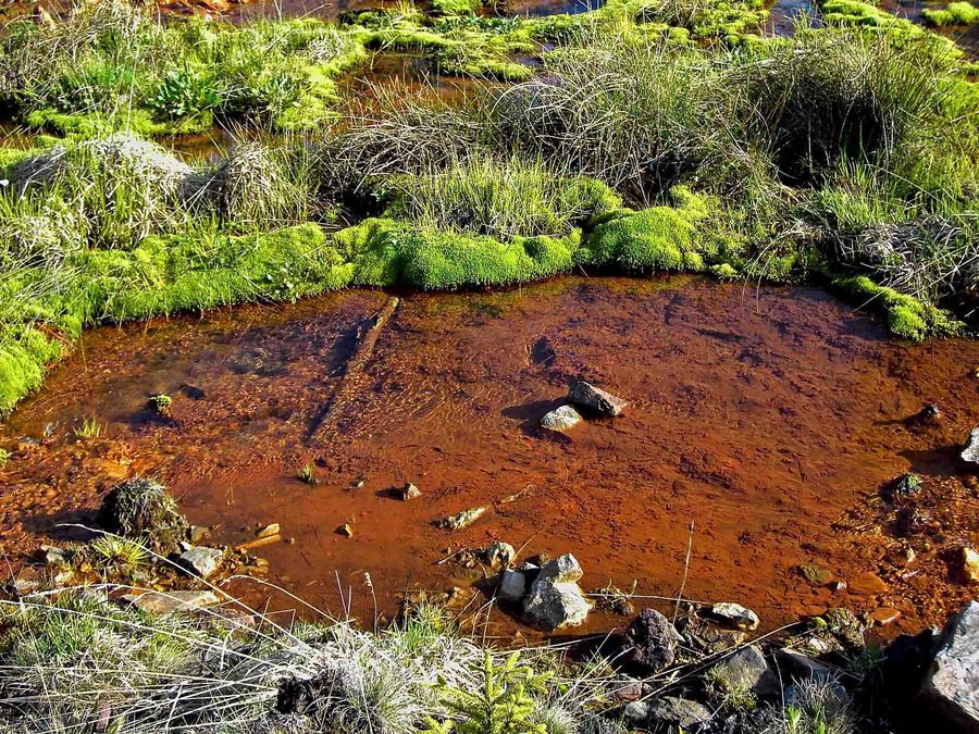 Rostiger Grund unter klarem Wasser