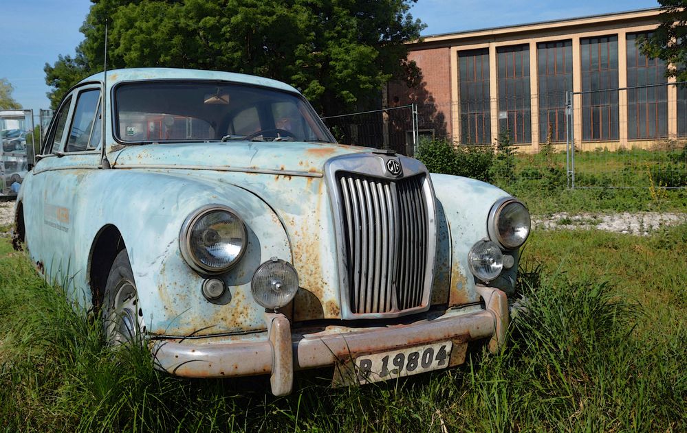 Rostiger MG im Grünen