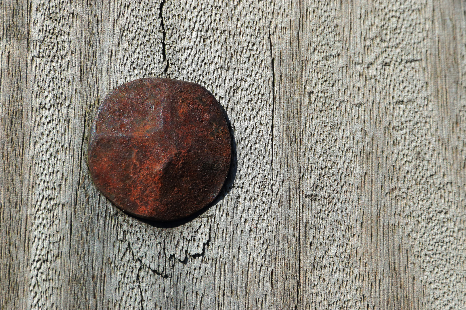 Rostiger Nagel in Bourtange am Wall