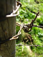 rostiger stachel auf berg