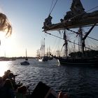 Rostock Hansesail