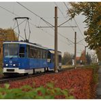 Rostock im Herbst