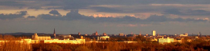 ...Rostock in Gold...