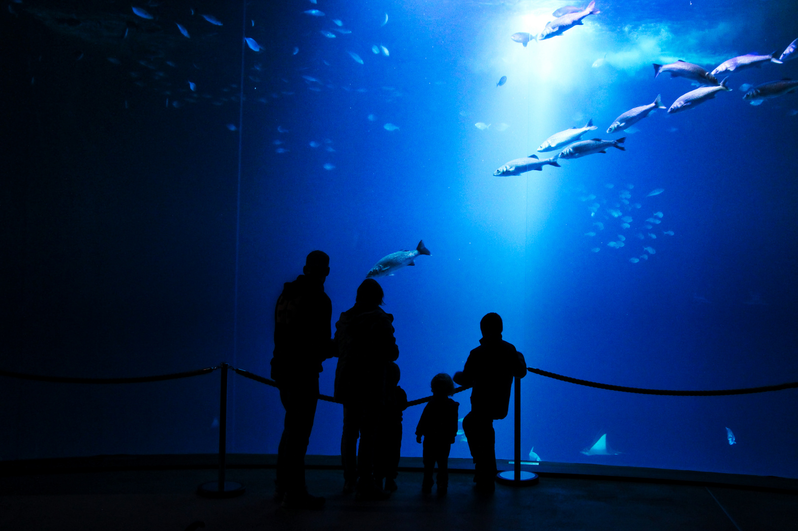 Rostock Ozeaneum