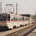 Rostock RSAG 601 Betriebshof Hamburger Straße 1992