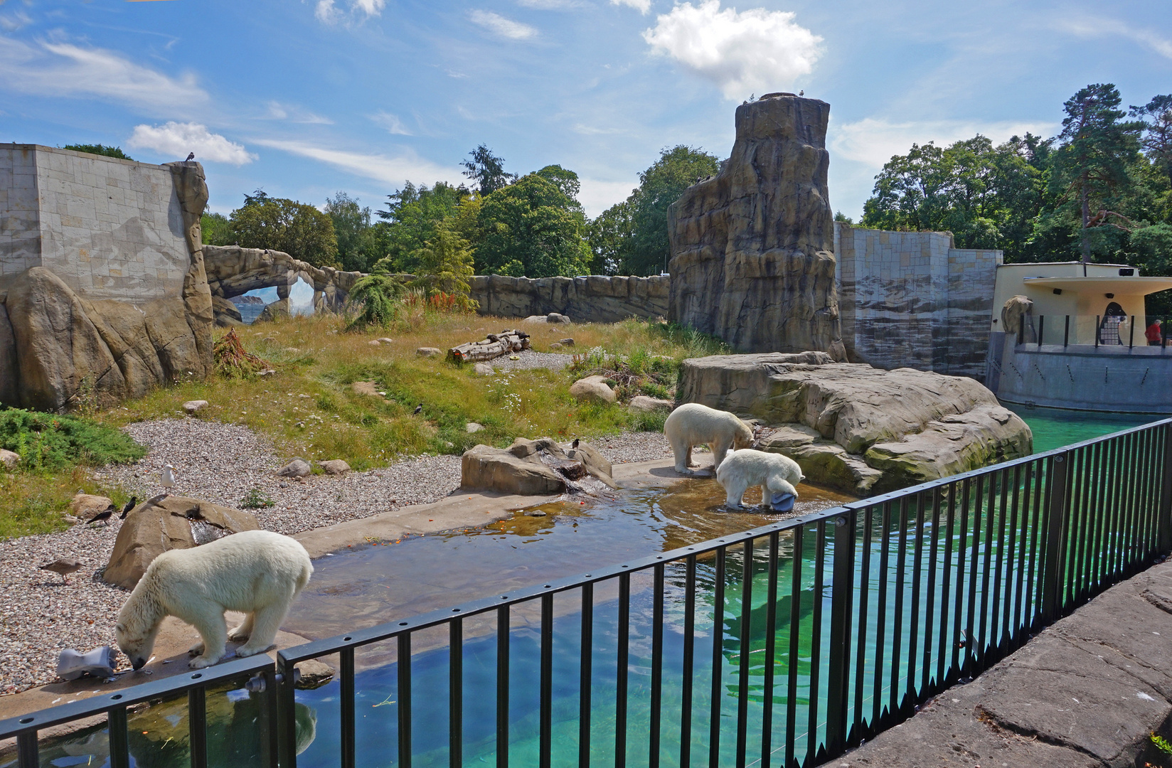 Rostocker Eisbärenanlage im Polarium Foto & Bild world, landschaft