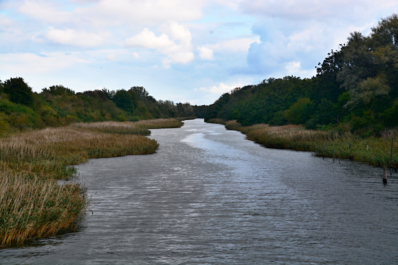 Rostocker Heide I