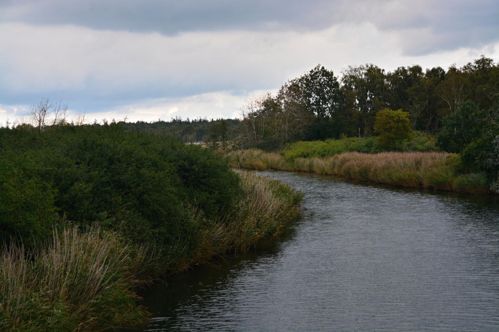 Rostocker Heide II