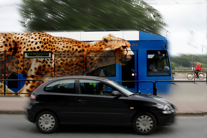 Rostocker Straßenbahn AG