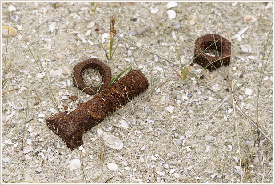 Rostschraube und Muttern in den Dünen