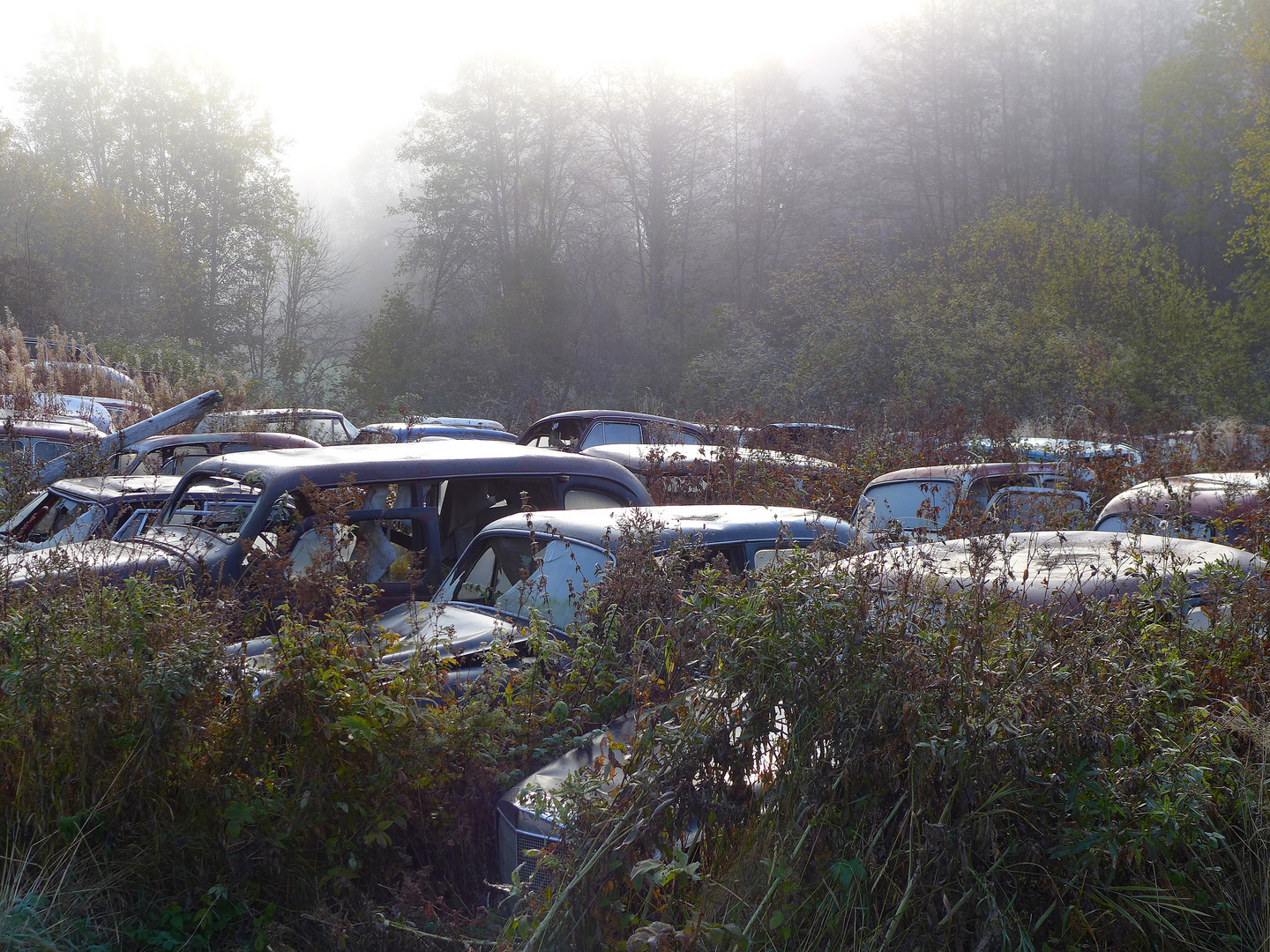 Rostwetter auf dem Autofriedhof Bästnas.