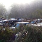 Rostwetter auf dem Autofriedhof Bästnas.