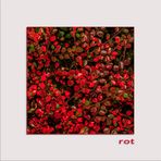 rot 2