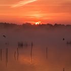 rot #2 - Sonnenaufgang am Steinhuder Meer