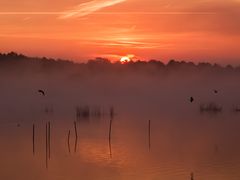 rot #2 - Sonnenaufgang am Steinhuder Meer