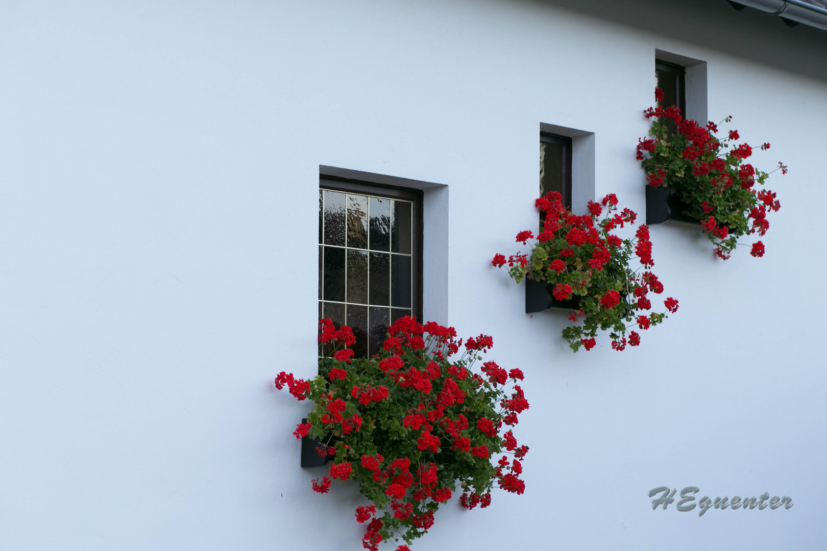 Rot auf Weiss