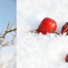 Rot auf weiß