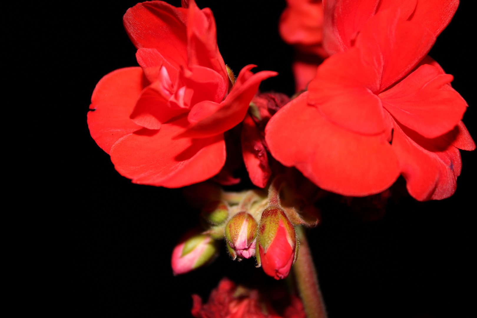 Rot bei Nacht