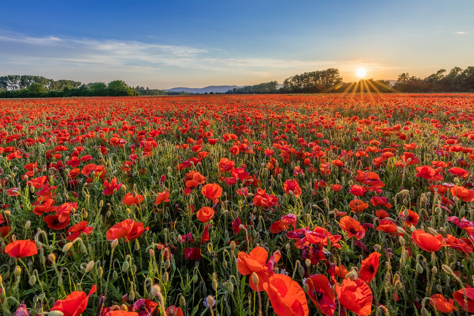 Rot bis zum Horizont