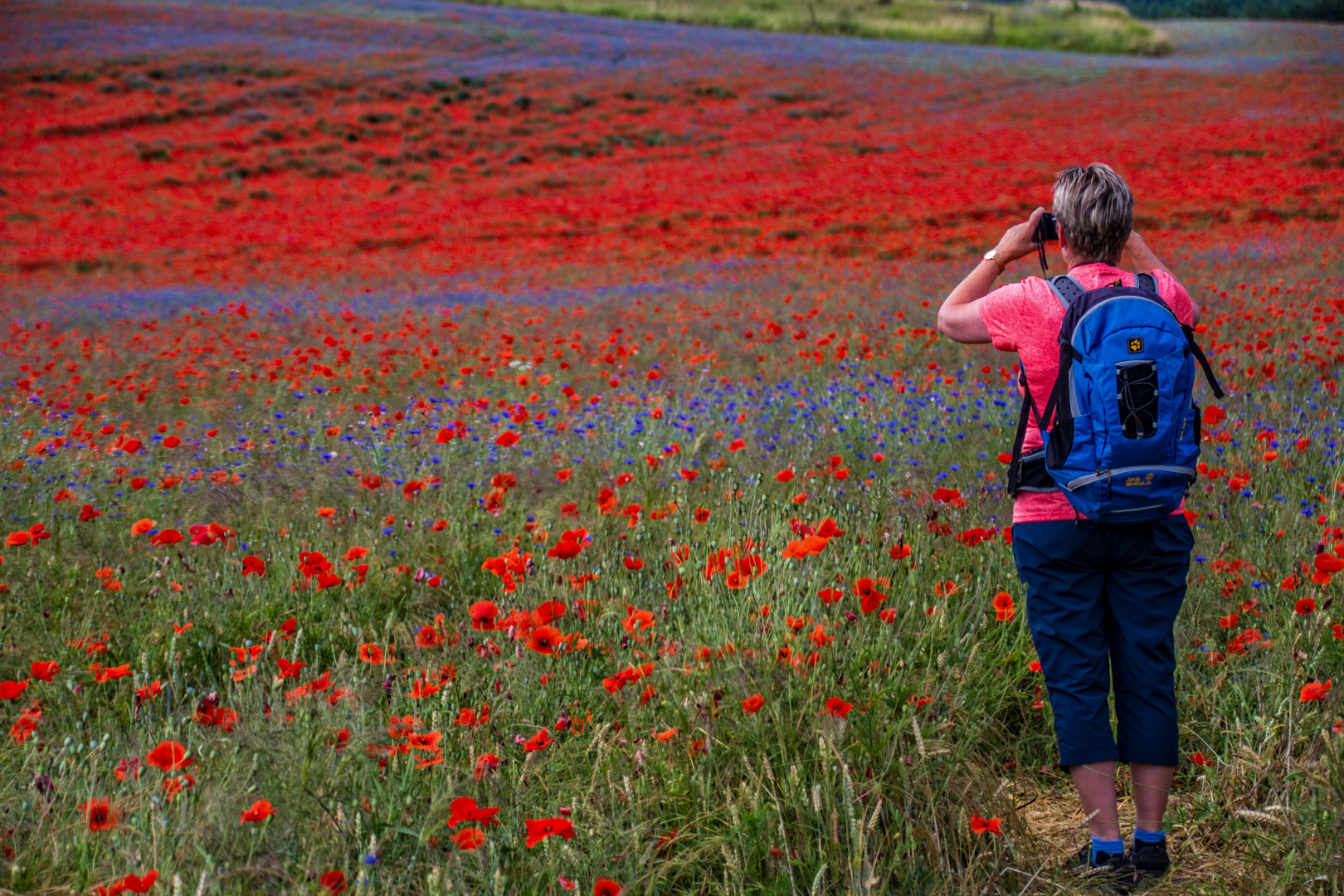 rot & blau