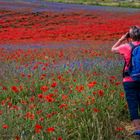 rot & blau