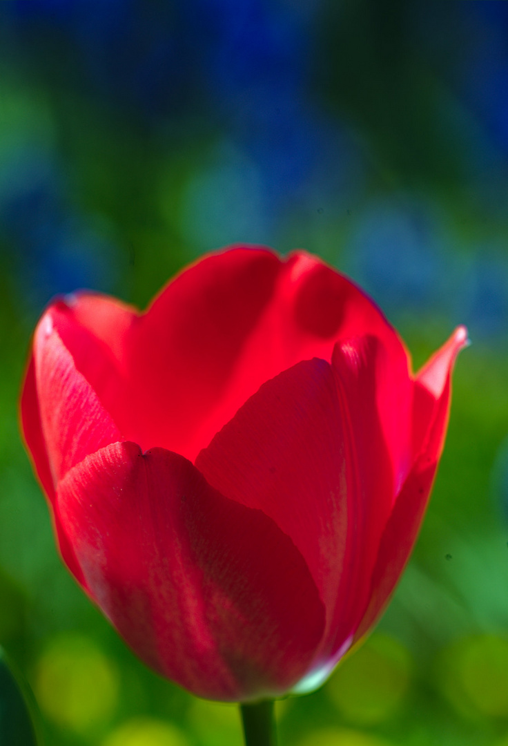 Rot-Blau-Grün