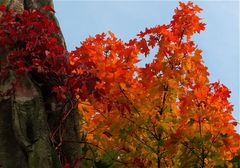 Rot-Blau-Gruen-Gelb