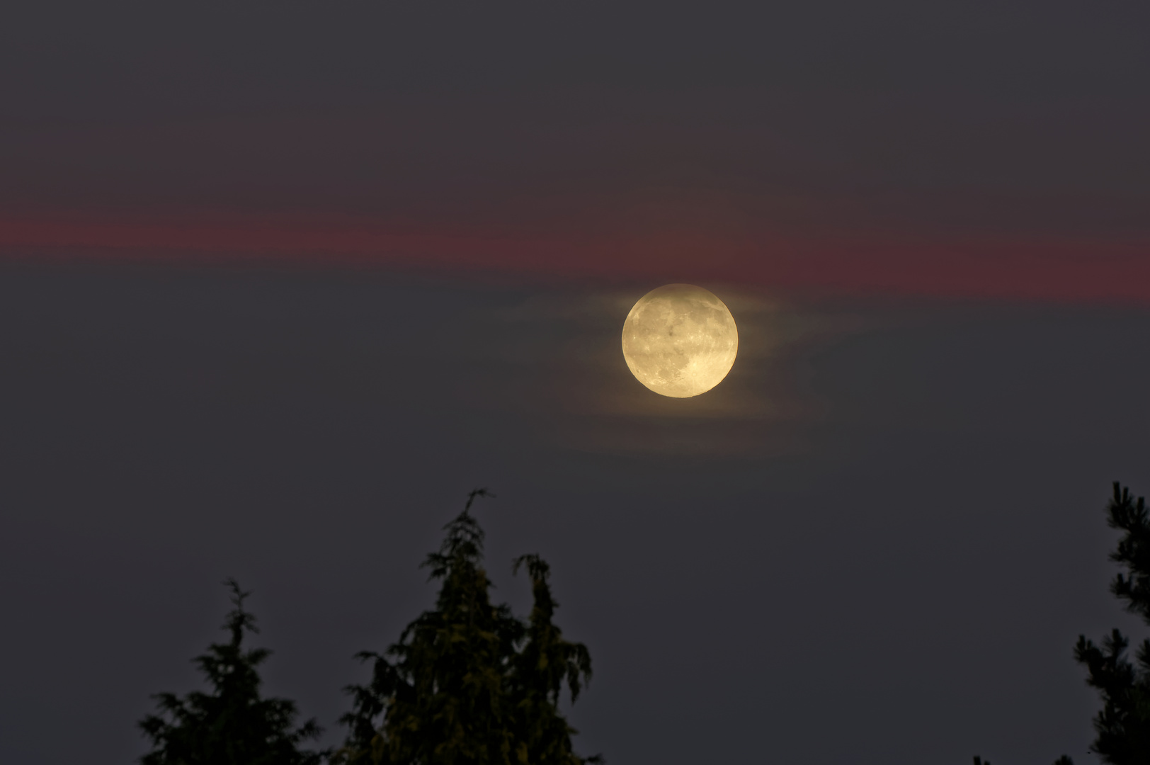 Rot- blaue Stunde