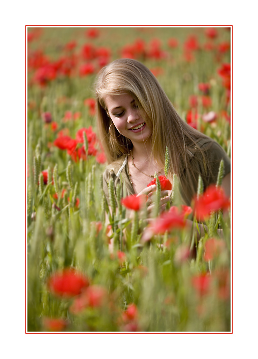 Rot blüht der Mohn