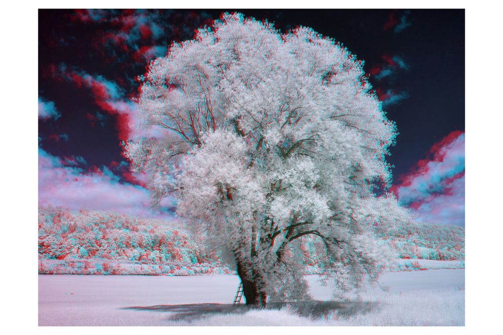 Rot-Cyan 3D II [IR]