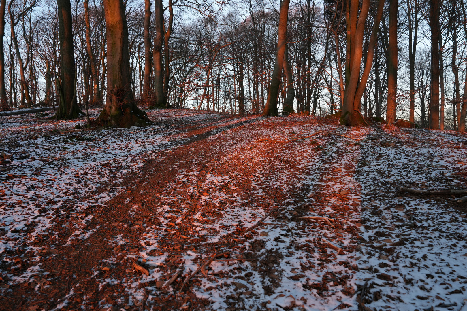 Rot erscheint der Schnee