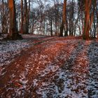 Rot erscheint der Schnee