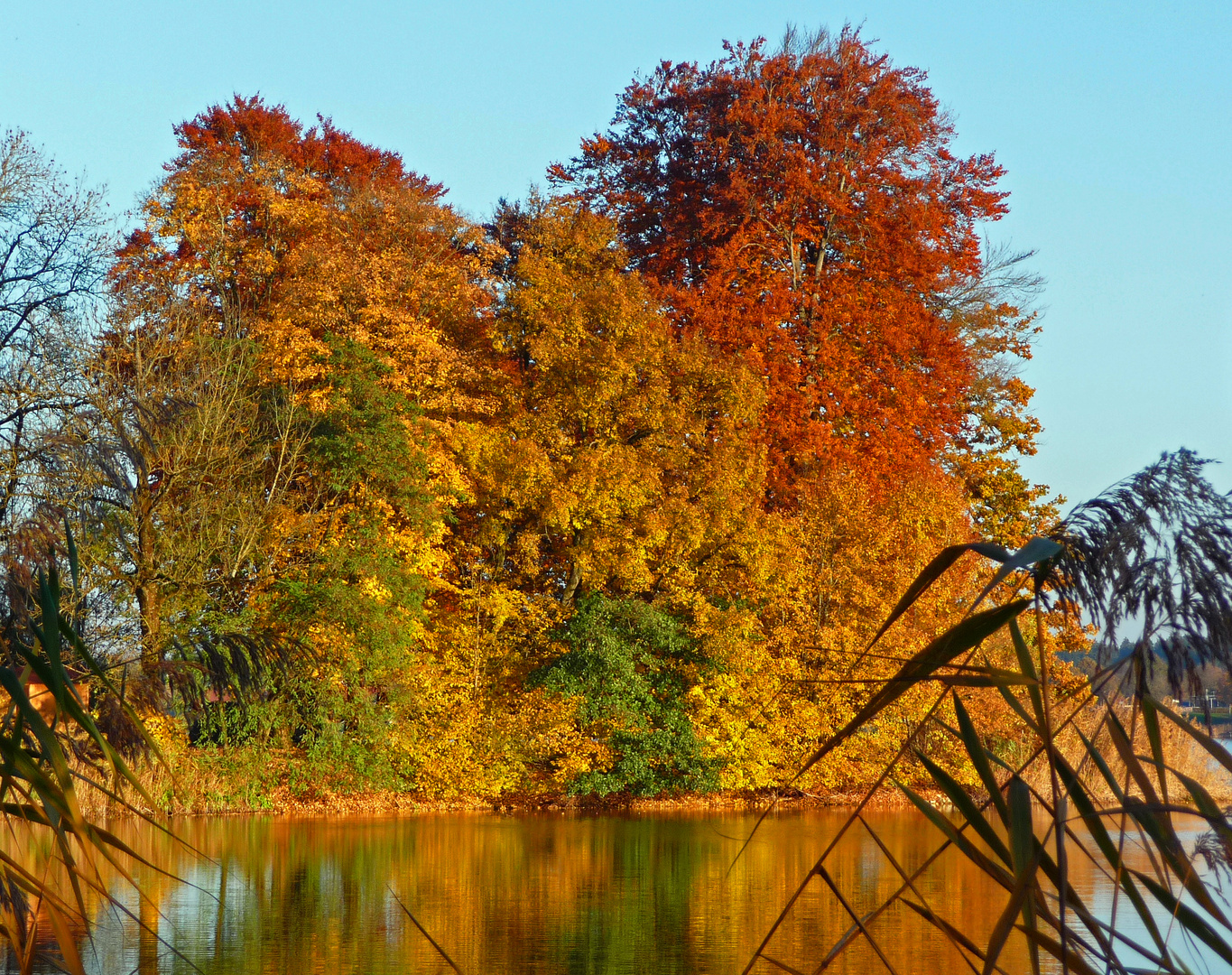 Rot - Gold - Grün