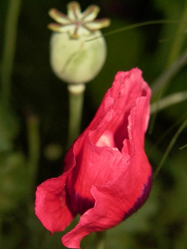 Rot / Grün..