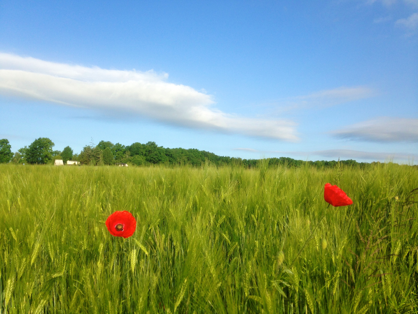 Rot - Grün -Blau