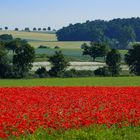 Rot-Grün-Weiß-Blau