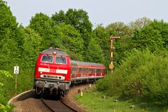 Rot-Grüner Frühling